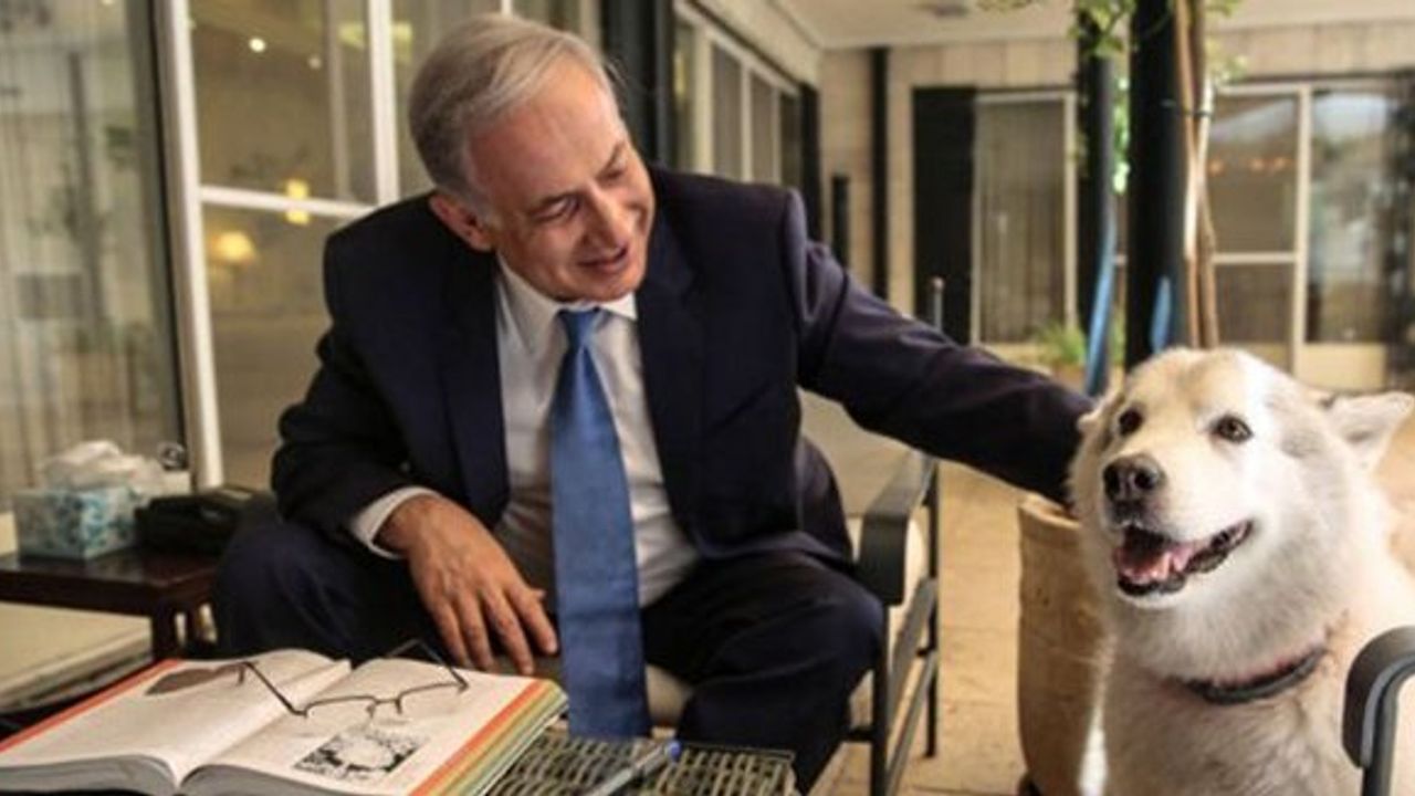Netanyahu'nun köpeği konuklarını ısırdı!