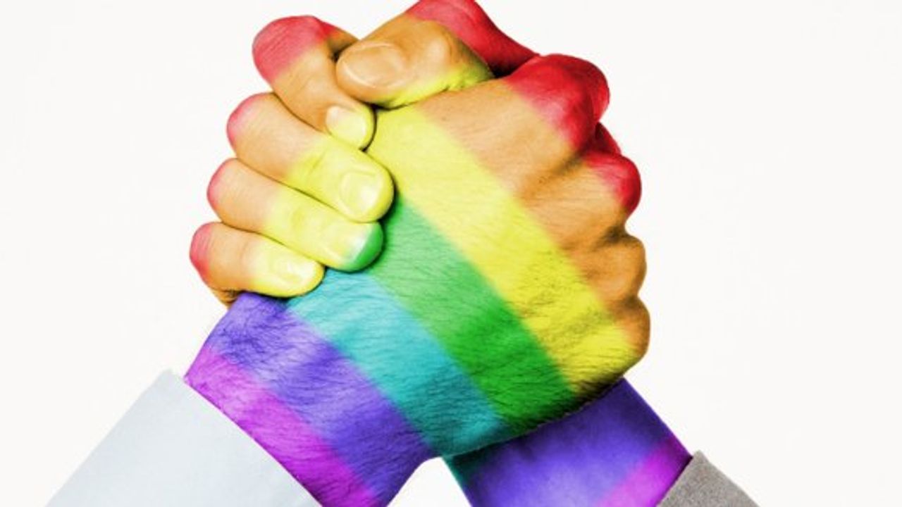 Türkiye'nin yüzde 53'ü eşcinselliği aykırı görüyor