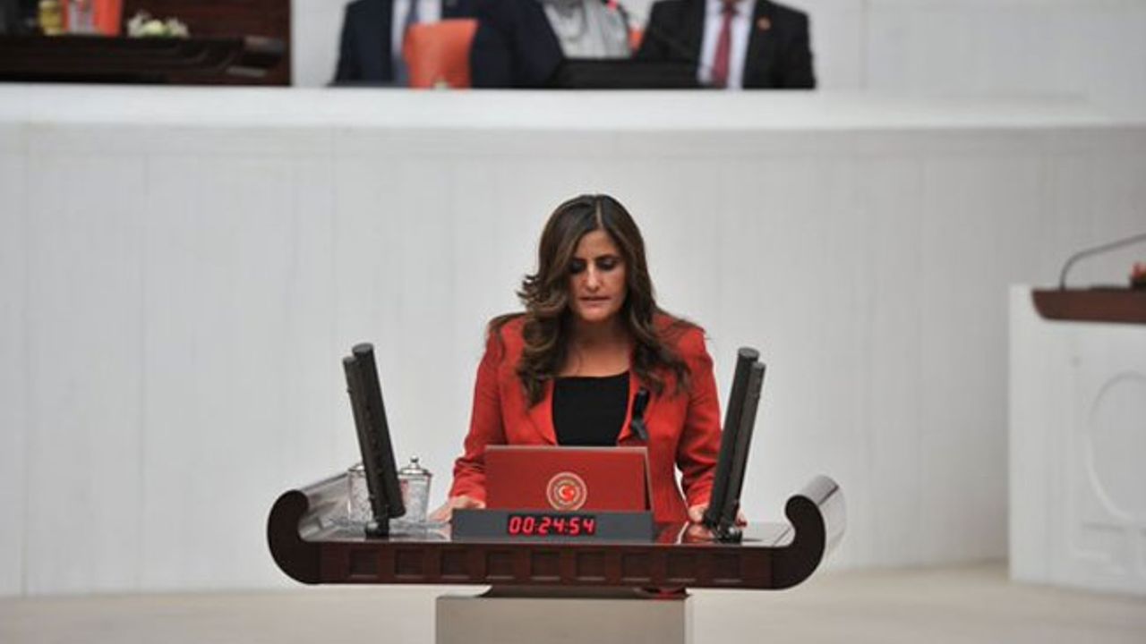 HDP'li Taşdemir: Mahkemeler, iktidarın direktifleriyle karar alıyor