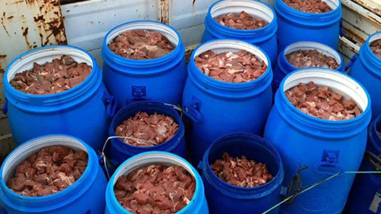 Aydın'da 5 ton kaçak kesilen domuz eti imha edildi