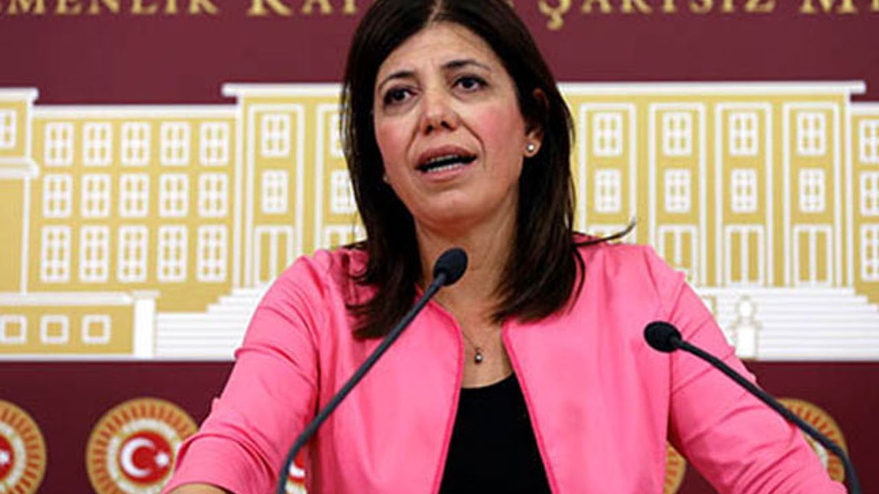 HDP’li Beştaş, Kürt dilinin kullanımı için Meclis araştırması istedi