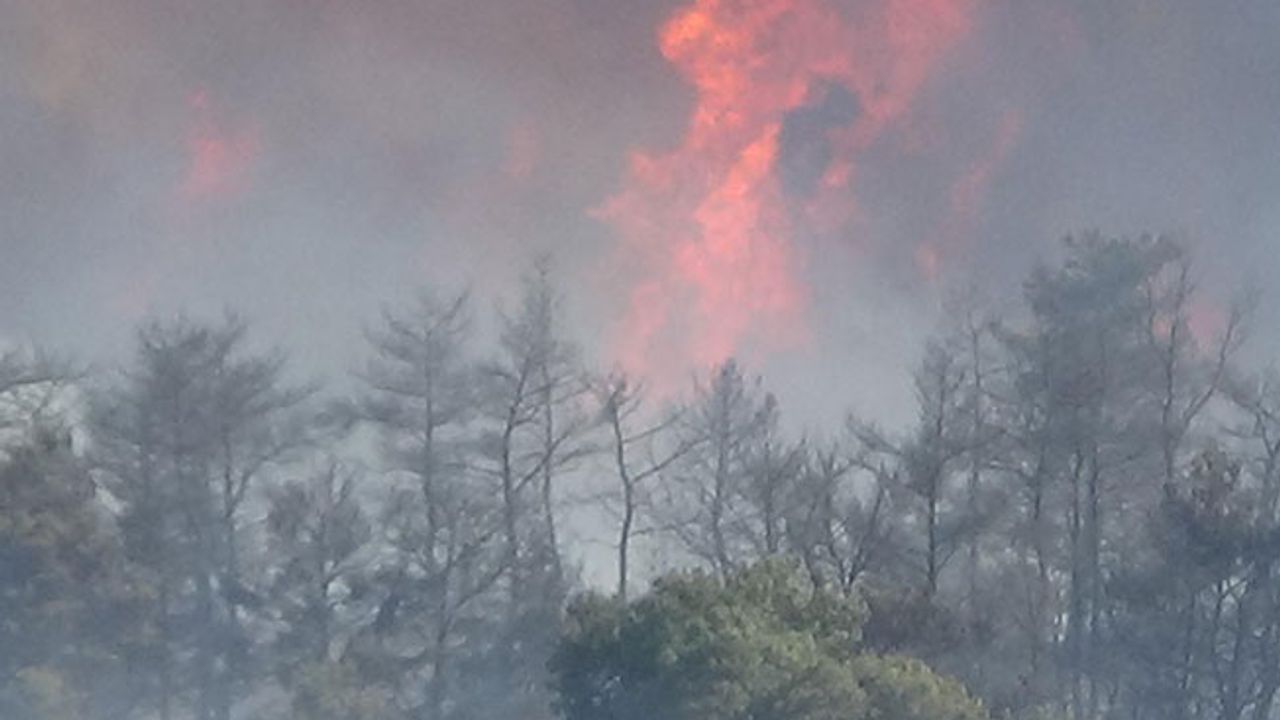 Çanakkale’de orman yangını: Bir köy boşaltılıyor