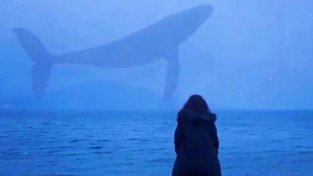Uzmanlardan ailelere 'mavi balina' uyarısı