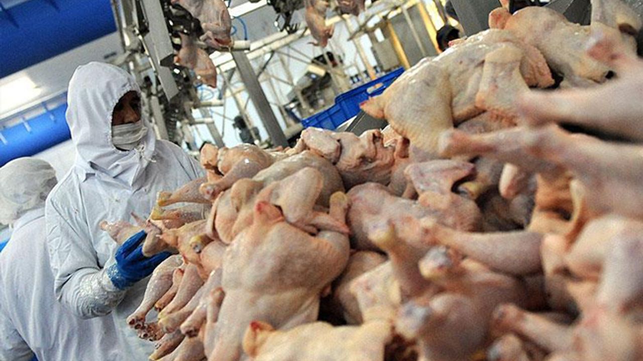 Rus denetim ajansı, Türkiye'den giden tavuk etinin ülkeye girmesine izin vermedi