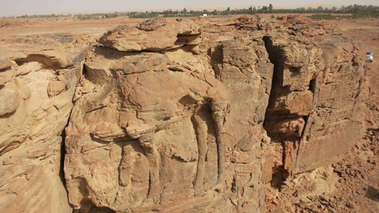 Arabistan çölünde 2.000 yıllık deve kabartmaları bulundu