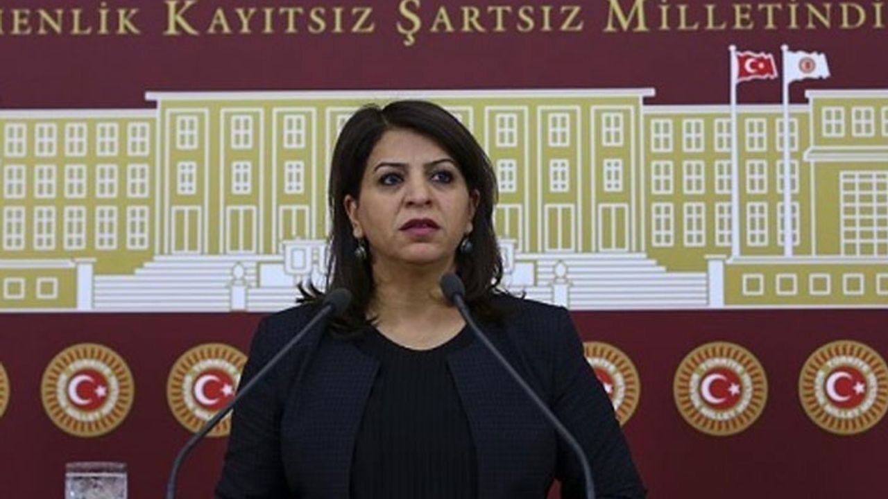 HDP'li Yiğitalp'tan, cezaevlerindeki disiplin cezaları için önerge