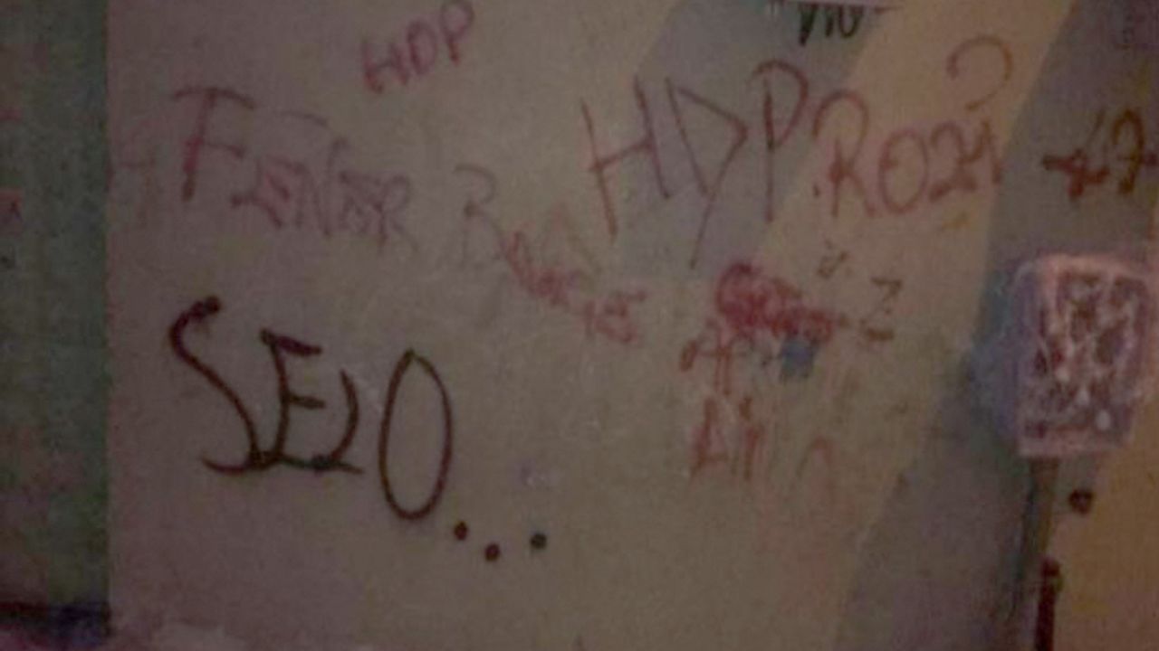 Evinin duvarına ‘HDP-Selo’ yazan 13 yaşındaki çocuk gözaltına alındı