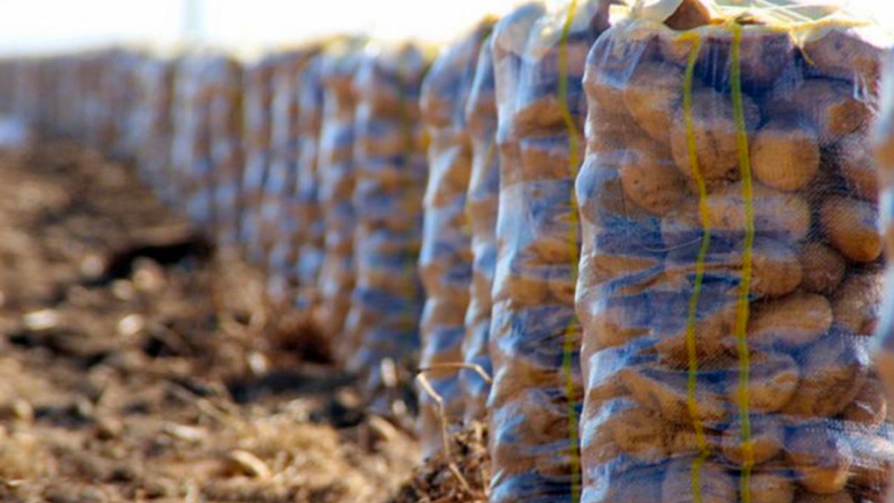 Türkiye Suriye'den patates ithal ediyor