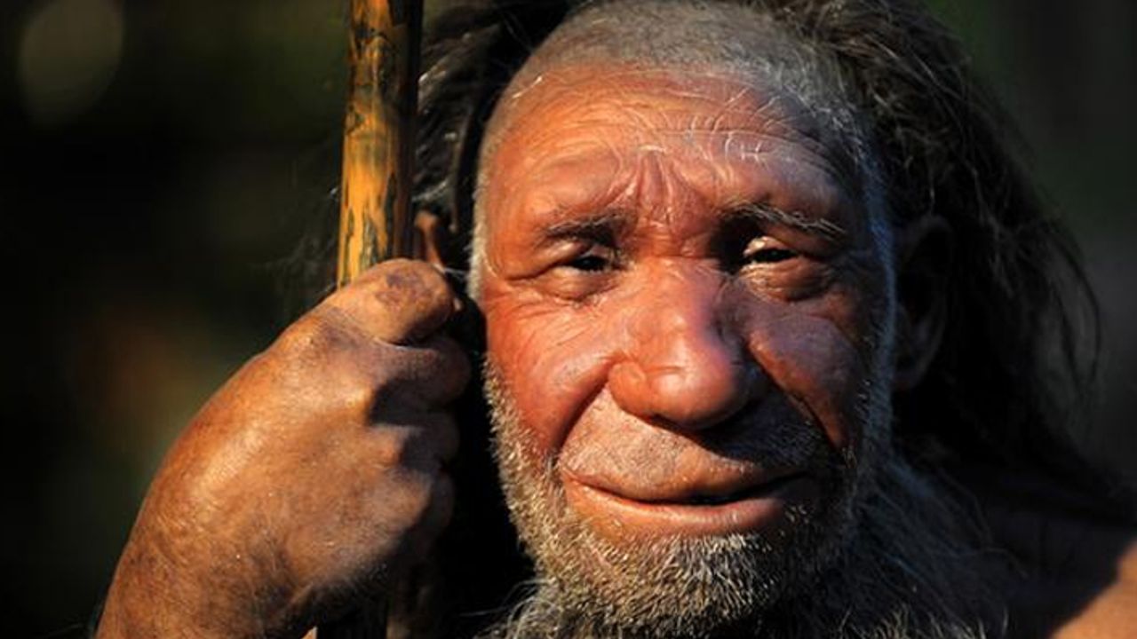Neandertal DNA’sı, modern insanlardaki kanserle ilişkili çıktı