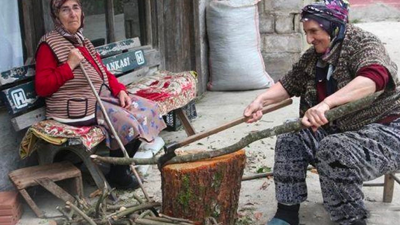 Hemşince 'Tehlike altındaki diller' listesinde