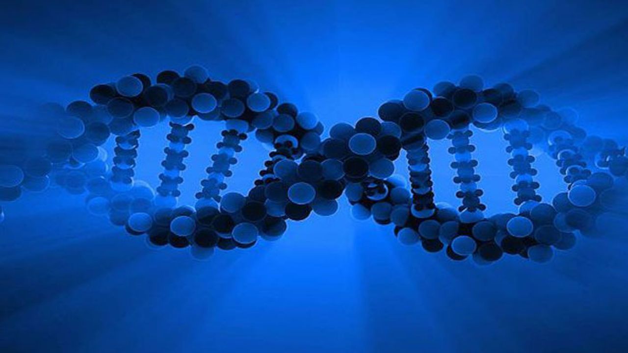 Çok alkol almak DNA'yı değiştiriyor