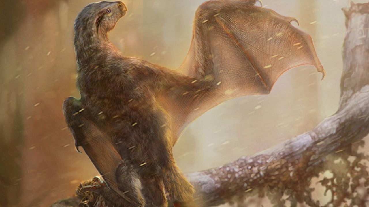 Yarasa kanatlı yeni dinozor türü keşfedildi