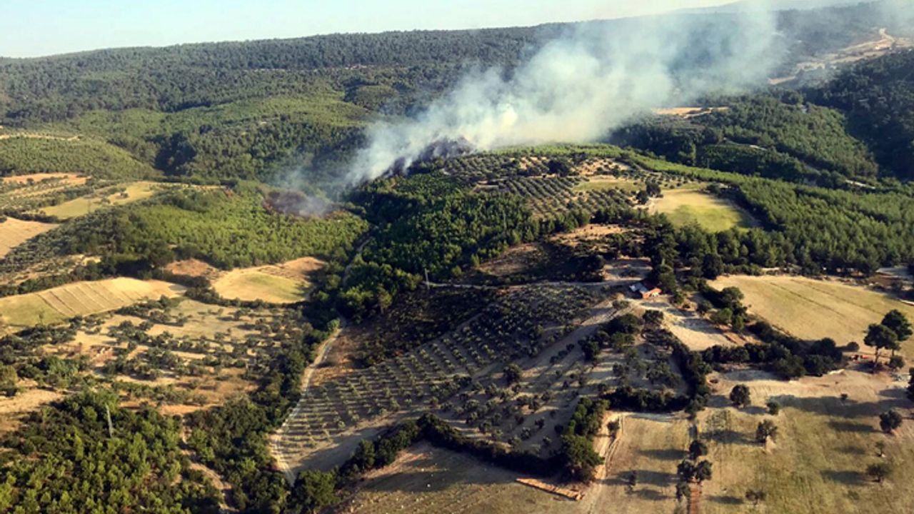 Bergama'da 3 buçuk hektarlık ormanlık alan yandı