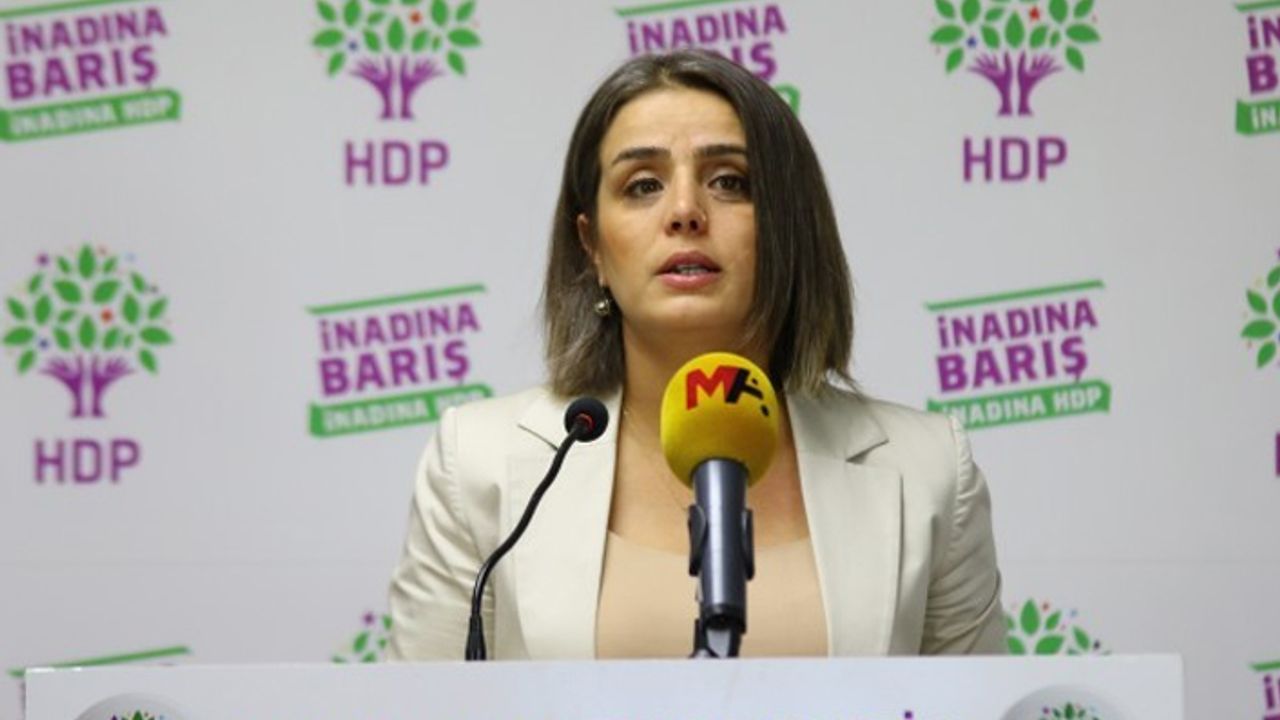 HDP'li Başaran: Kadın cinayetlerinden AKP sorumludur