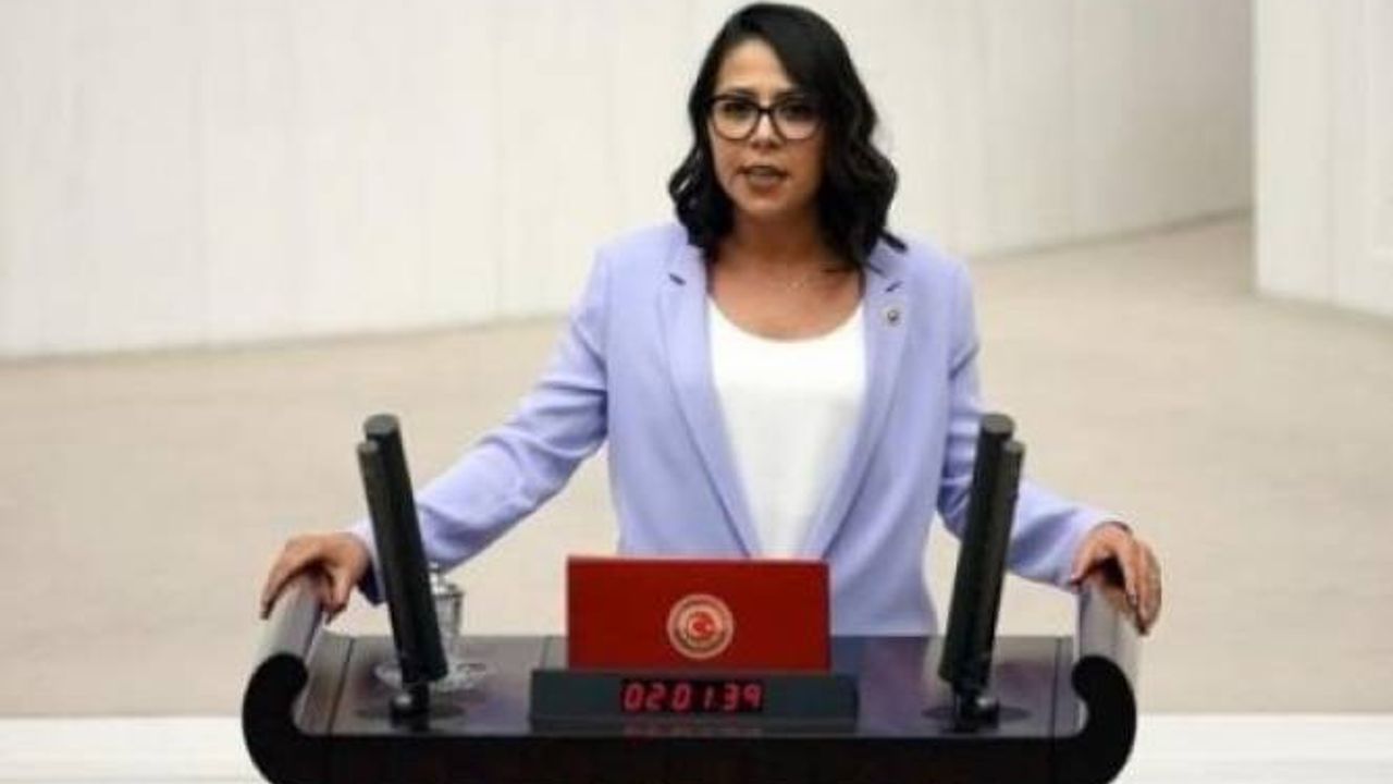 TİP milletvekili Kadıgil’den Bakan Çavuşoğlu’na: Dünyadan destek teklifi yağıyor, gelen tekliflere teşekkür ediyorsunuz