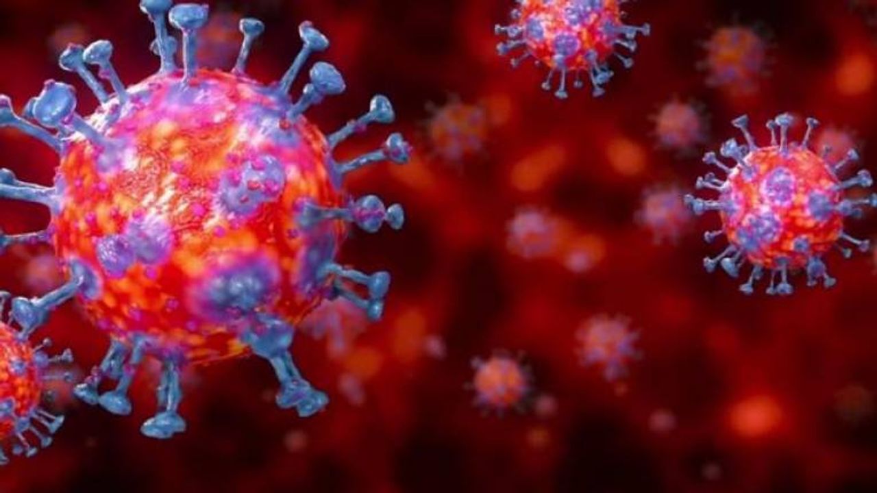 'Dünyada binlerce koronavirüs mutasyonu var'