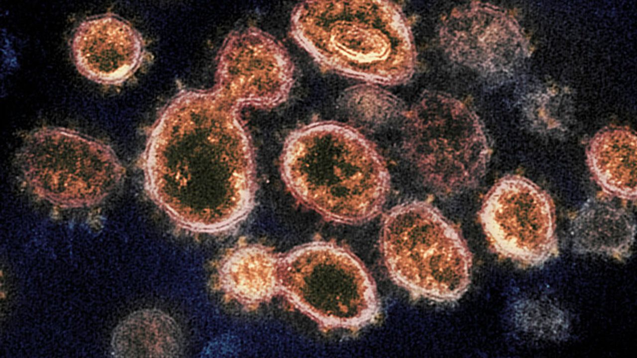 Endişe verici yeni bir koronavirüs mutasyonu daha bulundu