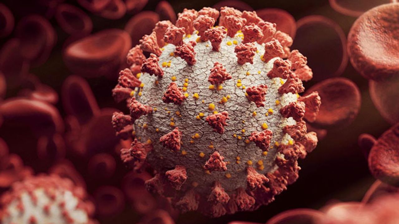 Bilim insanları, koronavirüsün iki yeni mutasyonunu keşfetti