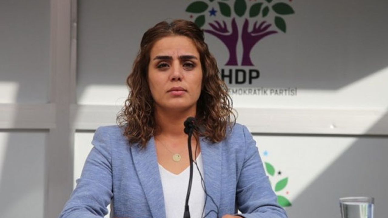 HDP'li Başaran: Tecrit bu ülkede savaşın, yoksulluğun ismi oldu