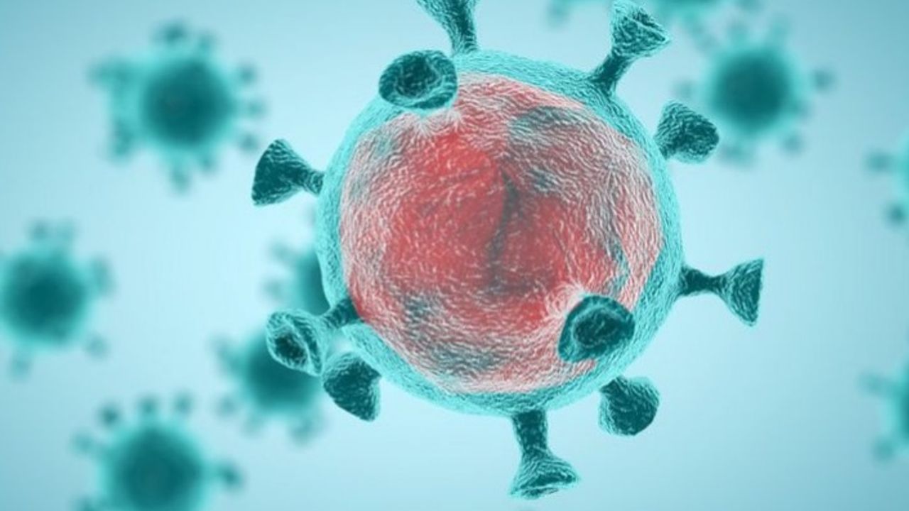 'Koronavirüs açıklanan tarihten 2 ay önce ortaya çıktı'