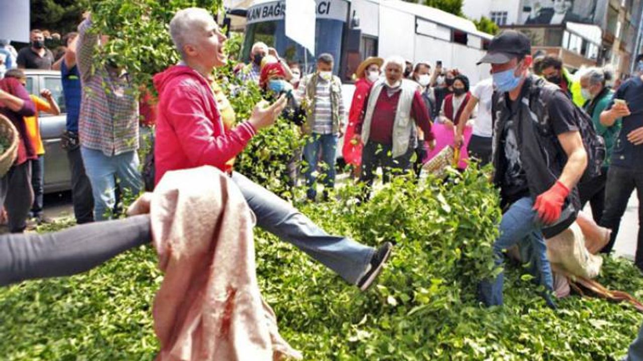 Çay üreticisi ÇAYKUR'un kota politikasına karşı isyanda