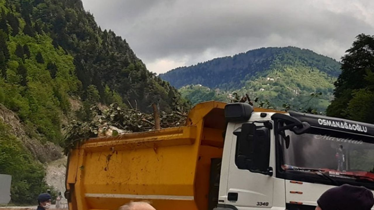 Cengiz İnşaat, Bakan İsmailoğlu'nun ziyareti öncesi kesilen ağaçları taşıdı