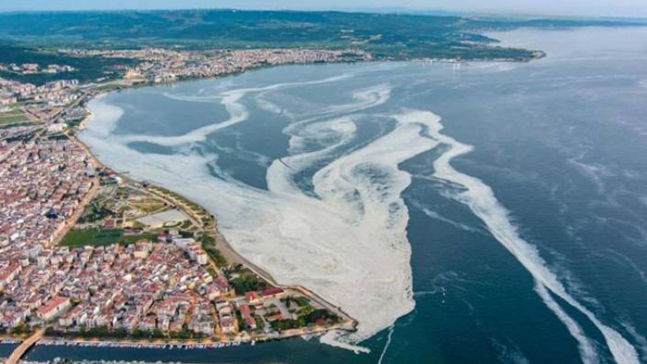 Deniz salyası temizliği için 8 Haziran'da 'deniz temizliği' seferberliği başlatılıyor