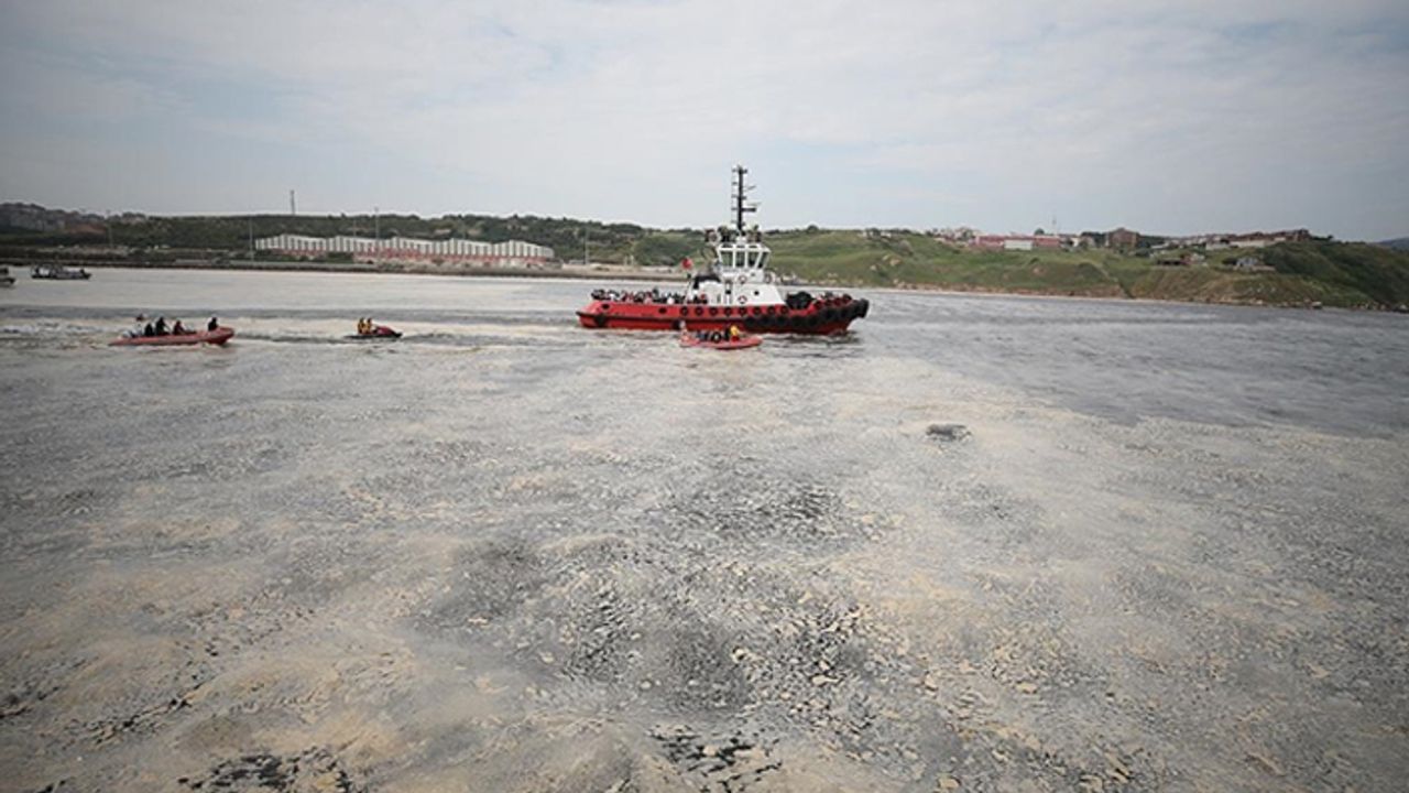 Hidrobiyolog Levent Artüz: 1989 Marmara Denizi'nin ölüm tarihidir, müsilajı temizlemenin olanağı yok