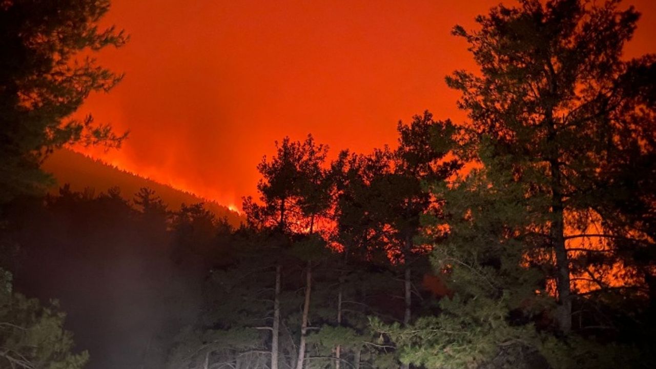 Bodrum'da yangın devam ediyor: Mazı için tahliye kararı
