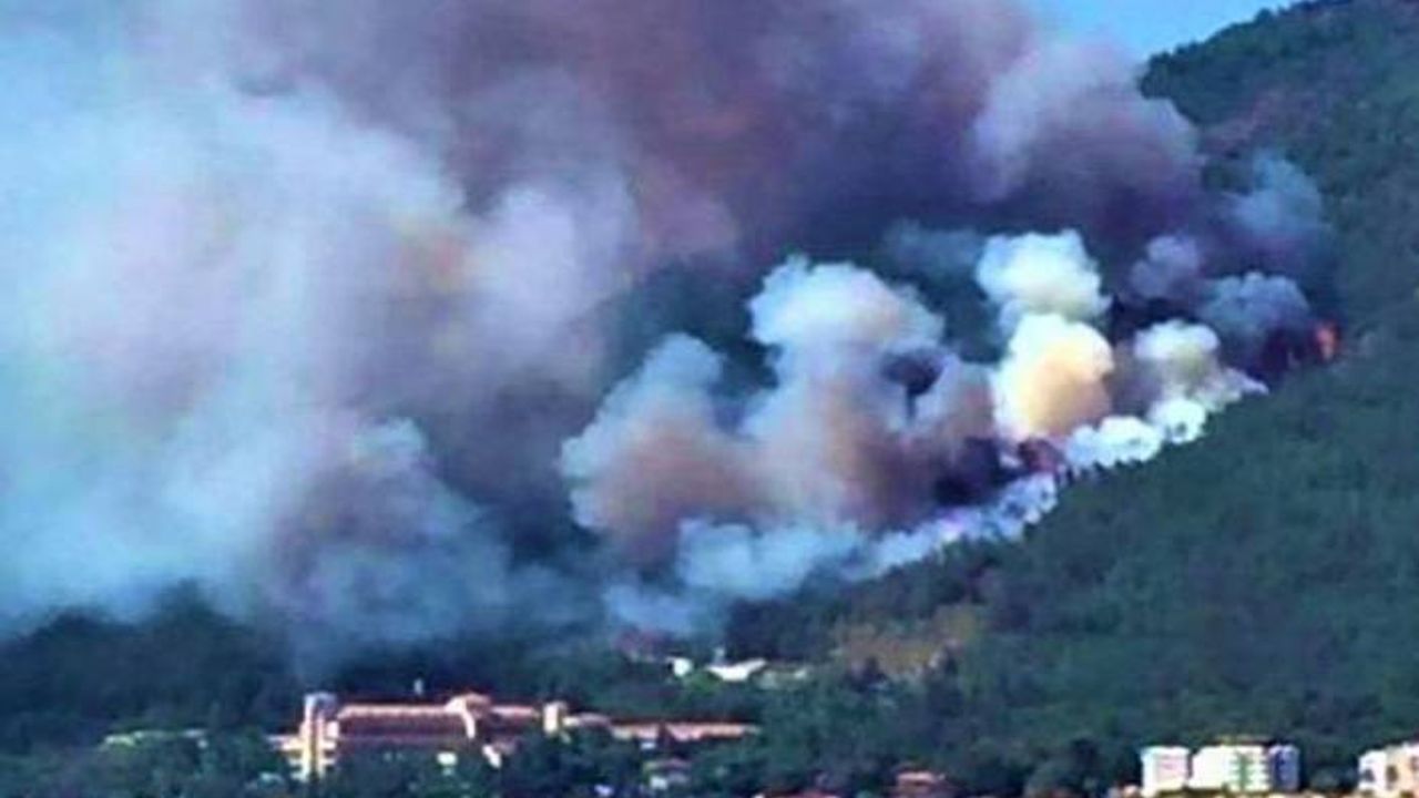 Marmaris yangını otellere sıçradı, CHP Pakdemirli'yi istifaya çağırdı
