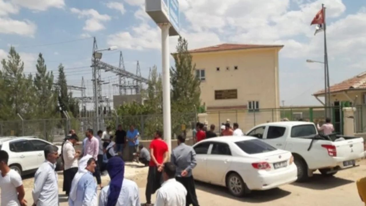 Siverek'te çiftçiler elektrik kesintilerine karşı TEİAŞ'ı bastı