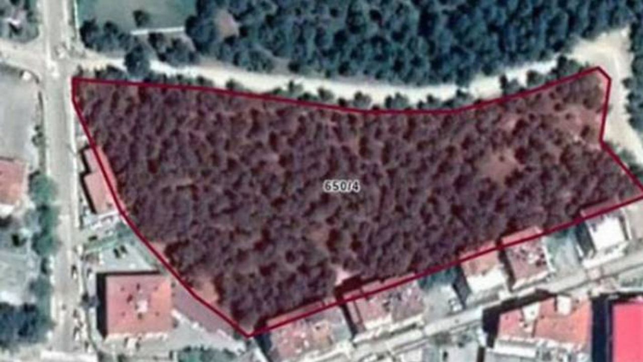 AKP'li Boyabat Belediyesi ormanlık alanı imara açtı