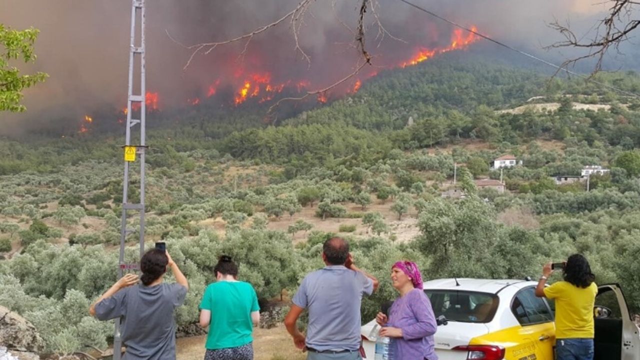Orman yangınlarında son durum: 5 ilde 13 yangın devam ediyor