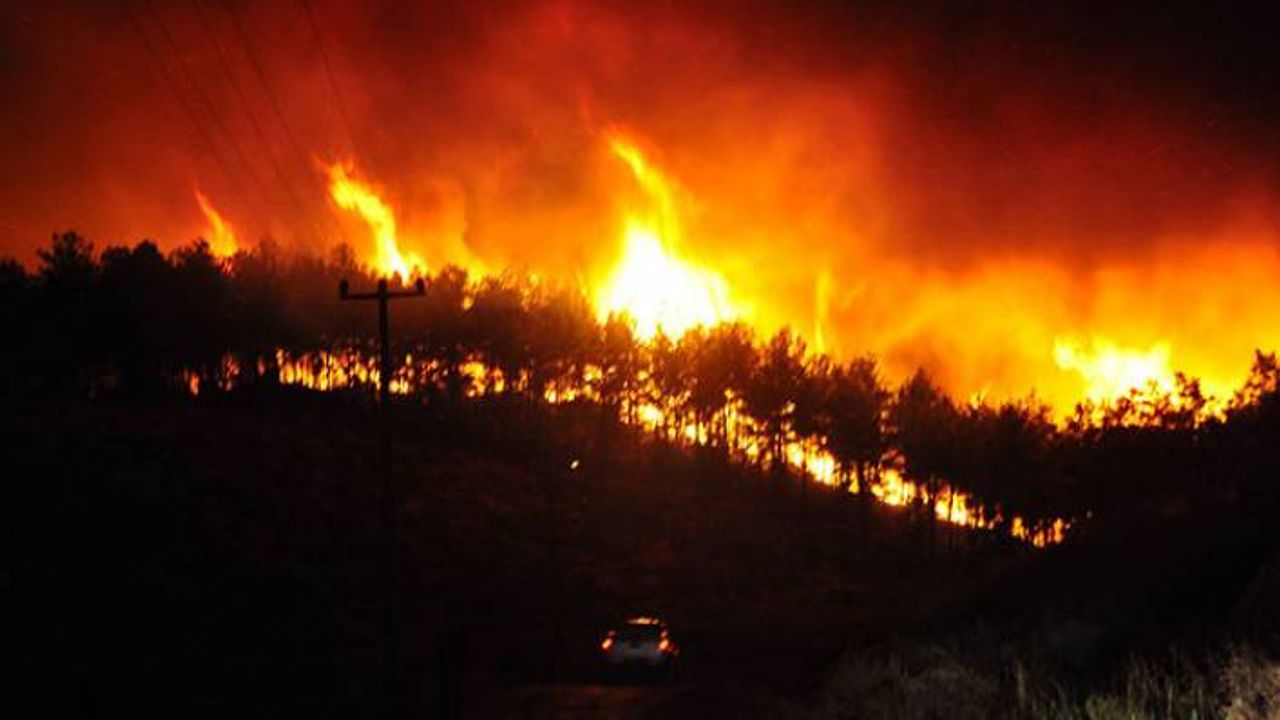 Bakan Pakdemirli: 7 ilde 16 yangın devam ediyor