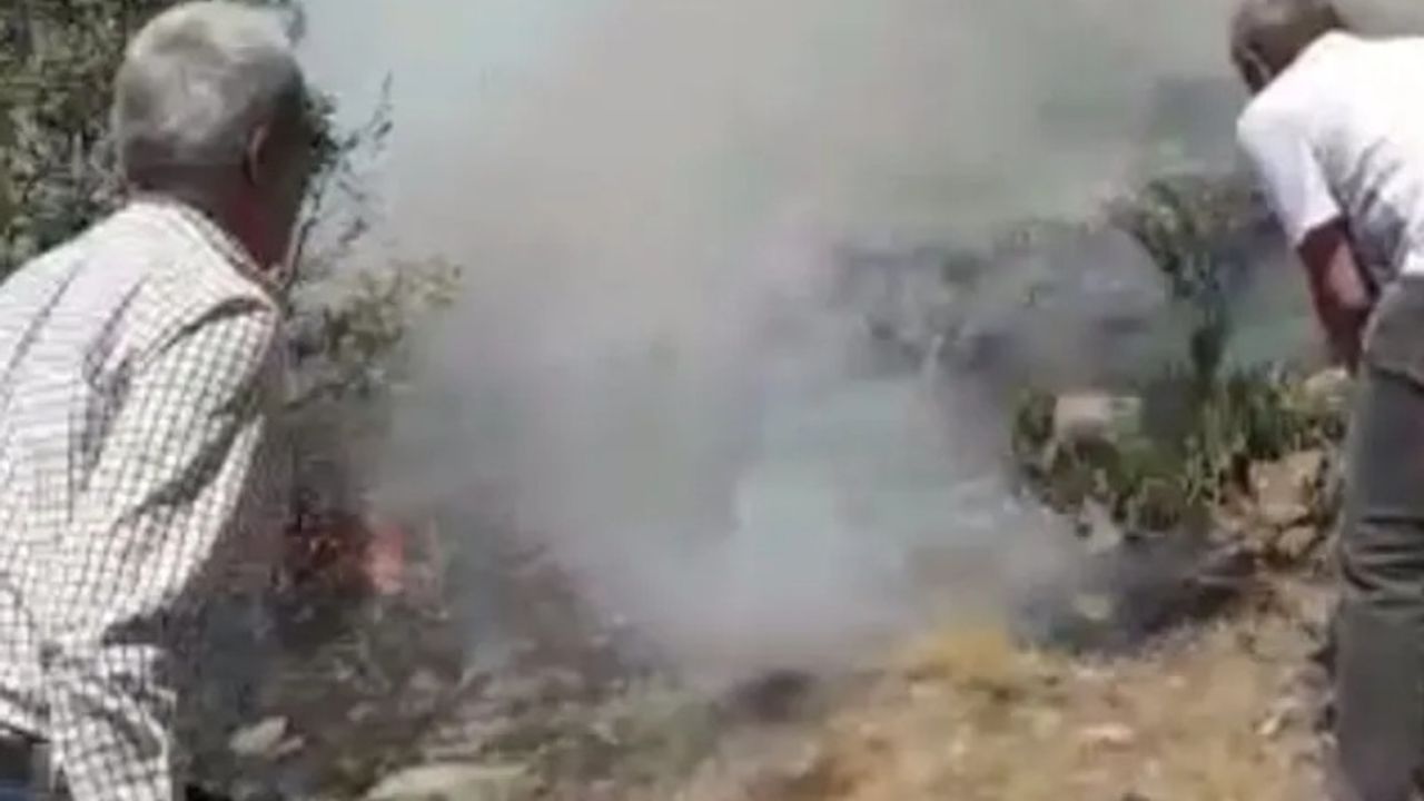 Bingöl'de orman yangını: HDP’li heyet alevlerin arasında kaldı