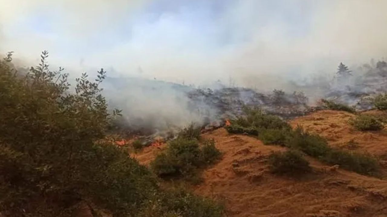Bitlis'te 6 noktada orman yangını devam ediyor