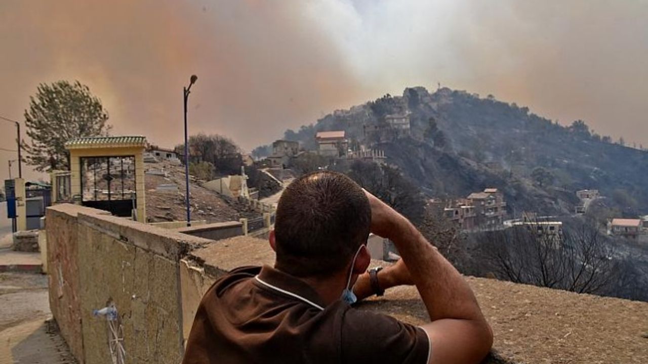 Cezayir'deki orman yangınlarında en az 65 kişi hayatını kaybetti