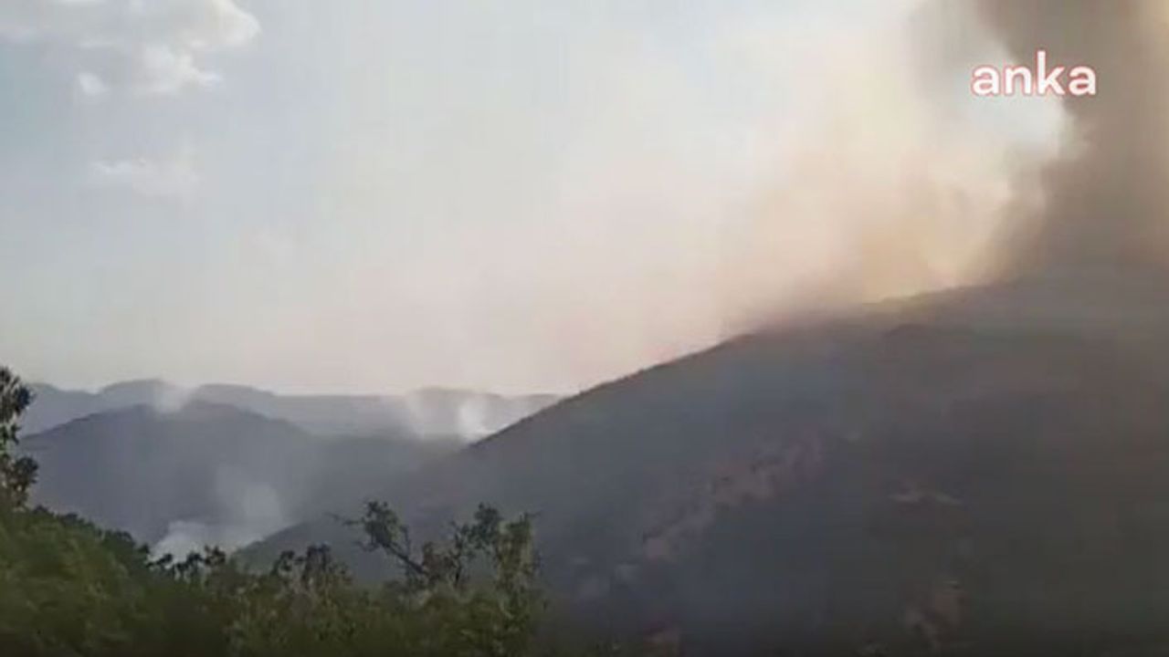 Dersim'in Hozat ve Ovacık ilçelerinde yangınlar devam ediyor