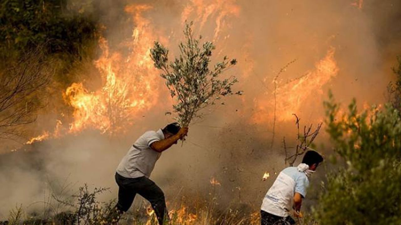 Emniyet Genel Müdürlüğü'nden orman yangınlarıyla ilgili basın açıklaması
