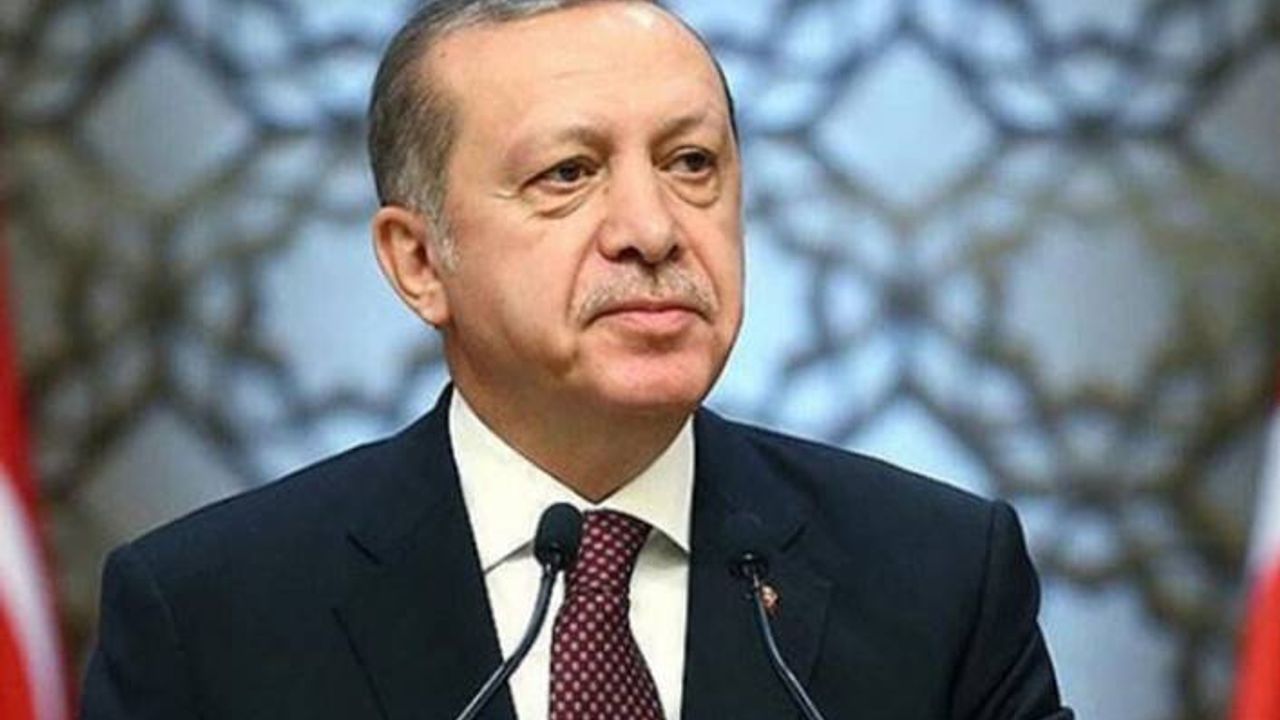 Erdoğan: Yanan alanlar başka bir amaçla kullanılamaz