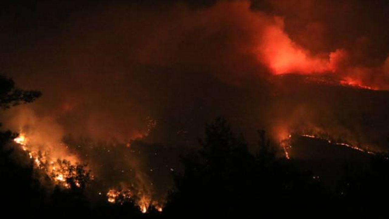 Milas'taki orman yangını Bodrum'a ulaştı: 3 mahalle tahliye edildi