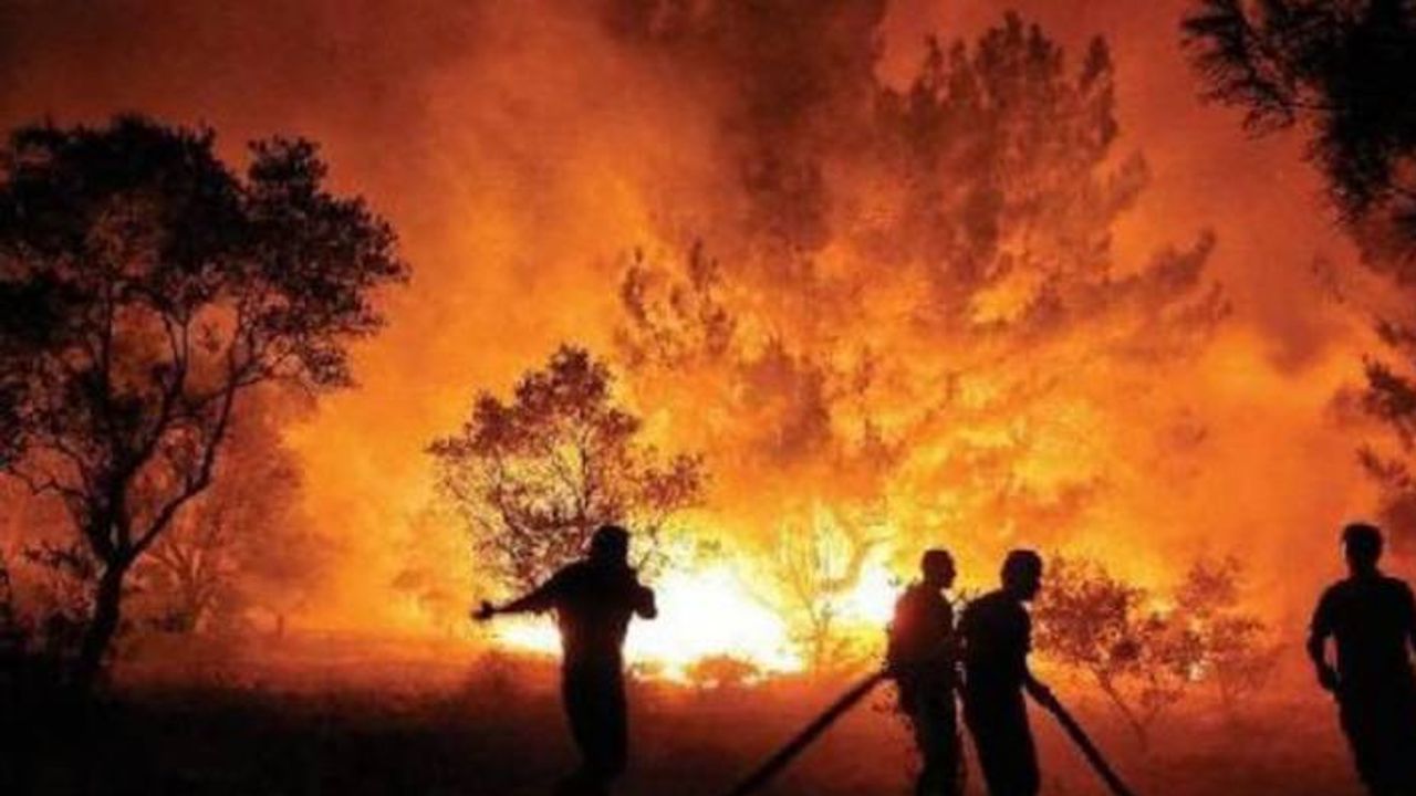 Milas'ta orman yangını yeniden başladı