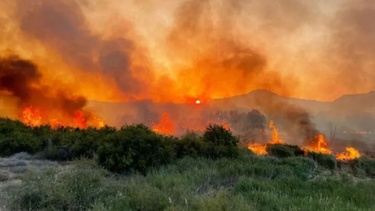Türkiye'deki orman yangınları The Guardian'da: Hükümete öfke büyüyor