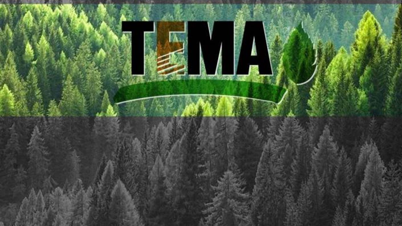 TEMA Vakfı, Cengiz Holding'in fidan bağışını geri çevirdi