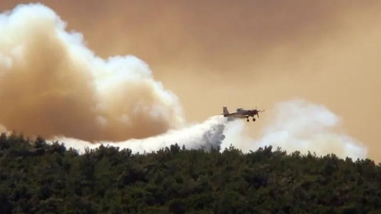 Yangınlardaki yetersizliği kabul etti: Yunanistan'dan Ordu Hava Kuvvetleri Komutanı istifa etti