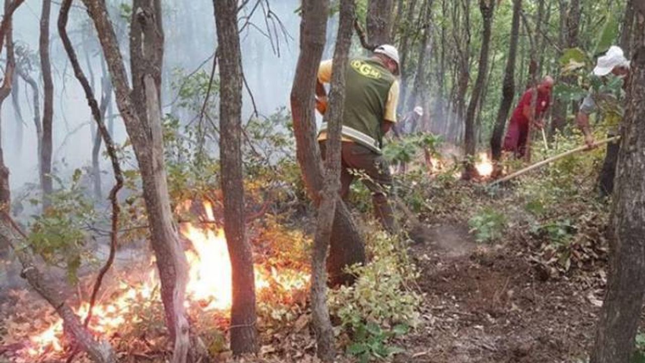 Yurt genelindeki 6 orman yangını kontrol altına alındı, Dersim ise yanmaya devam ediyor