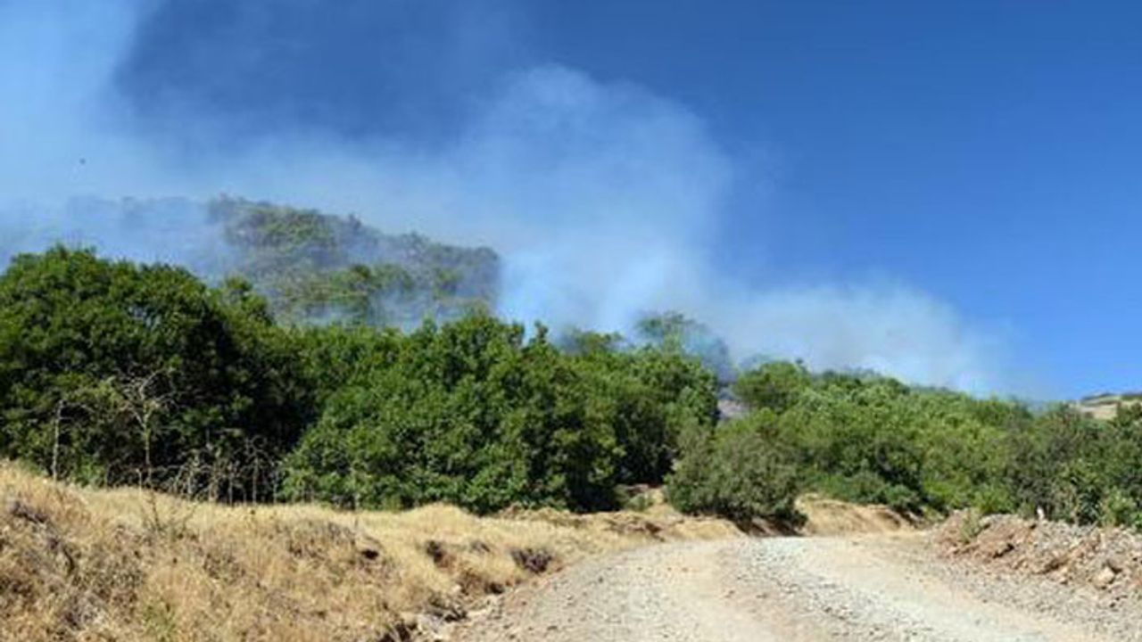 5 gündür devam eden Bingöl'deki yangın yerleşim yerlerine yaklaştı