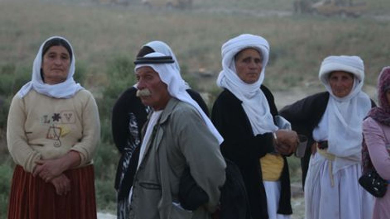  20 bin Şengalli Rojava'ya göç etti