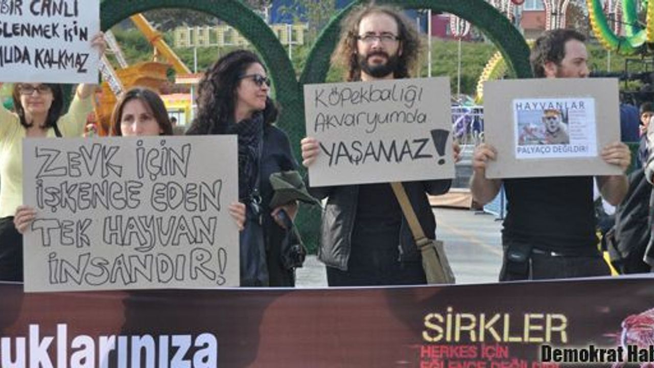 Ankara Sirki karşıtları yarın Gökçek'e gidiyor!