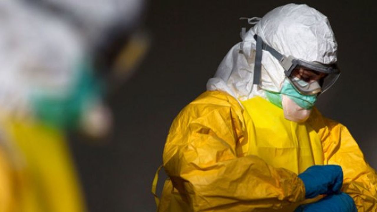 Dünya Sağlık Örgütü: Ebola 1 yılda 10 bin 445 cana mal oldu